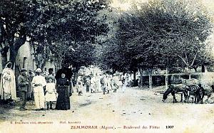ZEMMORAH - AVENUE DES FLITTAS - 1907